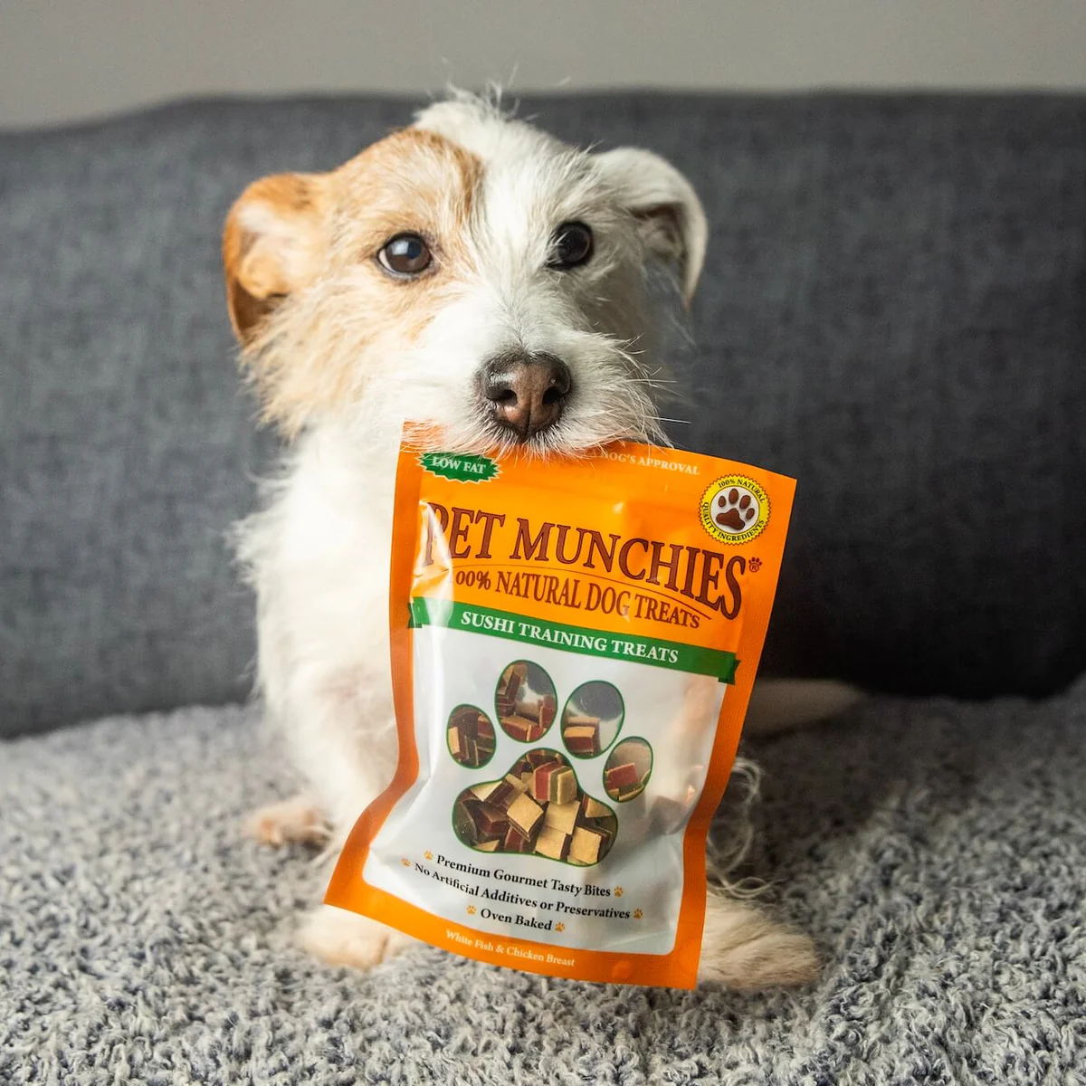 Front Page -Pets Gift Store Eddie Hattie Day 074 copy 1 1 58a35b72 fe1f 4635 80aa d8f7077f8732