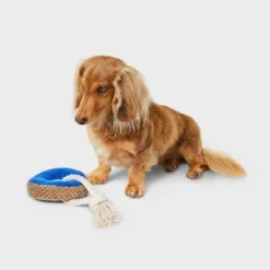 9.5" Donut Plush Rope Dog Toy - Boots & Barkley™