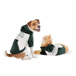 Branch Manager Dog Hoodie - Boots & Barkley™ 15 Branch Manager Dog Hoodie - Boots & Barkley™ -Pets Gift Store GUEST 0a2d45ca e09e 4582 9bd1 f34b21503790