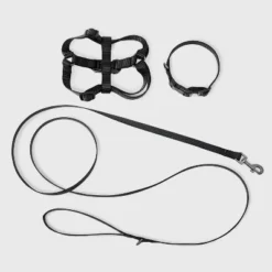 Basic Walk Dog Walk Collar Harness Leash Set - Boots & Barkley™ 3pc 7 Basic Walk Dog Walk Collar Harness Leash Set - Boots & Barkley™ 3pc -Pets Gift Store GUEST 0e5cc23e 17d2 40ce a96d 5522db0a63ce