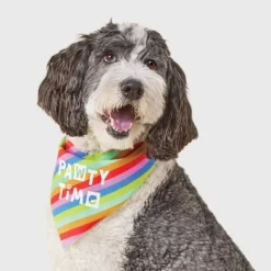 Birthday Reversible Dog Bandana - Boots & Barkley™ White One Size Fits Most -Pets Gift Store GUEST 0f2e6b43 0c5c 43a6 bf0f 63b2498ebfc9