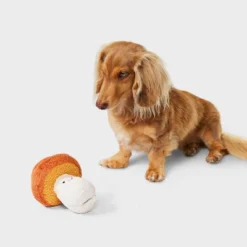 Mushroom Treater Dog Plush Toy - Boots & Barkley™