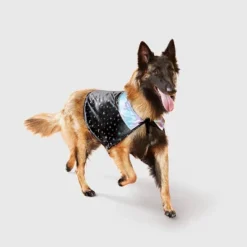Cape Costume Night Sky Dog And Cat Costume Accessories - Boots & Barkley™ Black -Pets Gift Store GUEST 1c98479e 1288 4e34 87eb 8eca56743e40