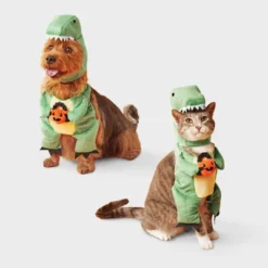 Dino With Pumpkin T-Rex Pail Dog And Cat Frontal Costume - Boots & Barkley™ Light Green -Pets Gift Store GUEST 1da45082 cc97 4a57 9ddf a020d4c73a55