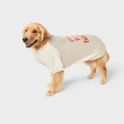 Make Fetch Happen Dog Sweatshirt Hoodie - Boots & Barkley™ -Pets Gift Store GUEST 1e2fd95b 913d 42b1 8e1a a2a56b0efbe5