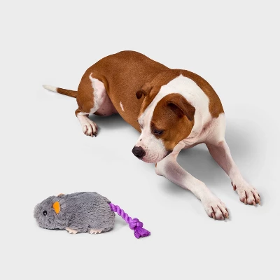 7.41" Rat Dog Rope Toy - Boots & Barkley™ 1 7.41" Rat Dog Rope Toy - Boots & Barkley™