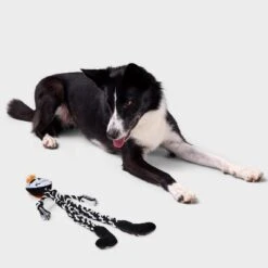 23" Skeleton Dog Rope Plush Toy - Boots & Barkley™
