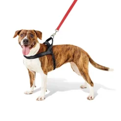 No Pull Comfort Dog Harness - Boots & Barkley™ -Pets Gift Store GUEST 33c2b47a 4908 42e2 bfcb 84645ce62caa