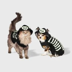 Skeleton Glow Reflective Halloween Hoodie Dog And Cat Costume - Boots & Barkley™ -Pets Gift Store GUEST 3cc06ae7 837f 433d 83e5 11081a82dcd0