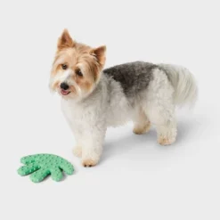 Nubby Seaweed Rubber Tough Chew Bone Dog Toy - Boots & Barkleyâ„¢