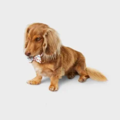 Multistripe Dog And Cat Bowtie - Boots & Barkley™ One Size Fits Most -Pets Gift Store GUEST 4562aaf3 c277 4f81 be55 f60adc875616