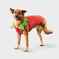 Reflective Strawberry Dog Vest - Boots & Barkley™ Cherry Red -Pets Gift Store GUEST 498b4af9 ff67 4ddc b1ce a28366517e8b