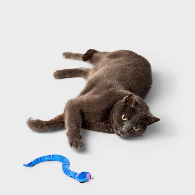 Motion Activated Slithering Snake Cat Mechanical Toy - Boots & Barkley™ Blue 1 Motion Activated Slithering Snake Cat Mechanical Toy - Boots & Barkley™ Blue