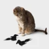 Ravens Cat Plush Toy Set - 2pk - Boots & Barkley™