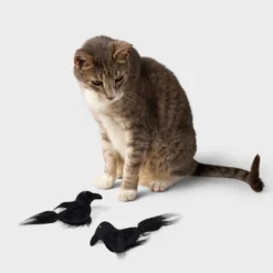 Ravens Cat Plush Toy Set - 2pk - Boots & Barkley™