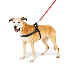 No Pull Comfort Dog Harness - Boots & Barkley™ -Pets Gift Store GUEST 58512b44 e85e 41f5 b37d c995dbbd3ac6