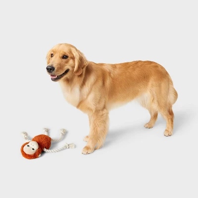 Monkey Plush With Rope Dog Toy - 14" - Boots & Barkley™ 1 Monkey Plush With Rope Dog Toy - 14" - Boots & Barkley™