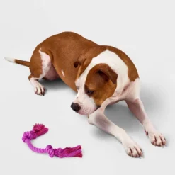10" Mini Rope Dog Toy - Boots & Barkley™ Purple