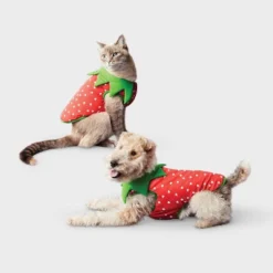 Reflective Strawberry Dog Vest - Boots & Barkley™ Cherry Red -Pets Gift Store GUEST 5b548c34 484c 4d02 a4ac aa30ff1d4f93