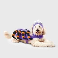 Spider Costume Dog And Cat Full Body Costumes - Boots & Barkley™ Purple -Pets Gift Store GUEST 5b7633a2 75b5 4089 9d8f 1e88510a1652