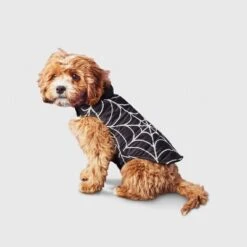 Reflective Spider Web Dog Vest - Boots & Barkley™ Black -Pets Gift Store GUEST 674f790b 498f 4478 8eec 1627cb377e33