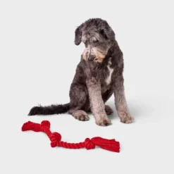 15" Rope Dog Toy - Boots & Barkley™ Red