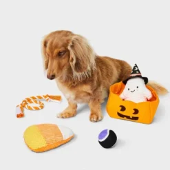 Trick Or Treat Dog Rope Plush Toy Set - 4pk - Boots & Barkley™