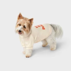 Make Fetch Happen Dog Sweatshirt Hoodie - Boots & Barkley™ -Pets Gift Store GUEST 7b449a63 cee4 42b5 b27e 0a9e1ff7d86e