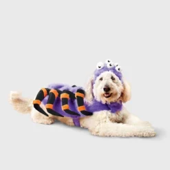 Spider Costume Dog And Cat Full Body Costumes - Boots & Barkley™ Purple -Pets Gift Store GUEST 8916cd88 1cdd 43aa 8e49 e823d47620ed