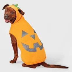 Jack-O'-Lantern Pumpkin Reflective Halloween Hoodie Dog And Cat Costume - Boots & Barkley™ -Pets Gift Store GUEST 89a637e2 6965 4708 be98 b84fb9e98413