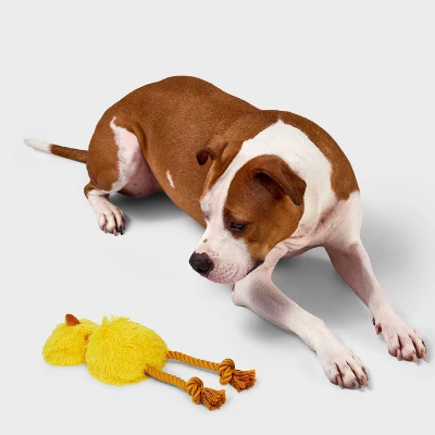 3.51" Emu Dog Rope Plush Toy - Boots & Barkley™ Yellow 1 3.51" Emu Dog Rope Plush Toy - Boots & Barkley™ Yellow