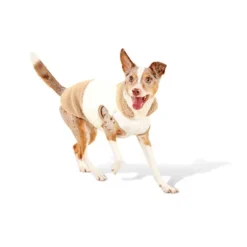 Faux Shearling Neutral Dog Vest - Boots & Barkley™ -Pets Gift Store GUEST 9c6ef477 9630 45c2 81b4 433e43c196d1