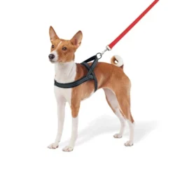 No Pull Comfort Dog Harness - Boots & Barkley™ -Pets Gift Store GUEST a12ac502 a742 4e2f b044 ca2a58f3c186