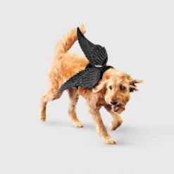 Raven Wings Dog Costume Accessories - Boots & Barkley™ -Pets Gift Store GUEST a288beb6 a181 4202 94ee 255c9b5f3c76