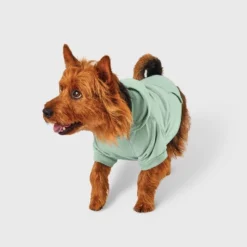 Green Thermal Dog Hoodie - Boots & Barkley™ 12 Green Thermal Dog Hoodie - Boots & Barkley™ -Pets Gift Store GUEST a6d00d5c 0e43 4e7b ad0f 03e5bc44af03