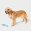 Fishbone Rubber Chew Dog Toy - Blue - Boots & Barkley™