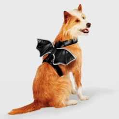 Bat Wings Rider Reflective Halloween Dog And Cat Costume - Boots & Barkley™ -Pets Gift Store GUEST acd5c4bc fe5b 41e3 b45e 2345fb83eefe