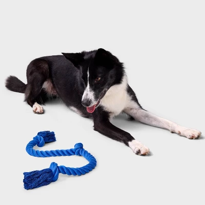 36" Rope Dog Toy - Boots & Barkley™ Blue 1 36" Rope Dog Toy - Boots & Barkley™ Blue
