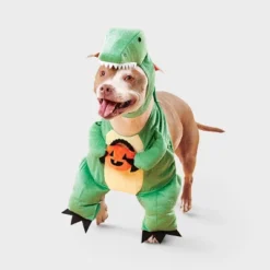 Dino With Pumpkin T-Rex Pail Dog And Cat Frontal Costume - Boots & Barkley™ Light Green -Pets Gift Store GUEST b417e411 7a9e 472f b3fb 20bffcc596e8