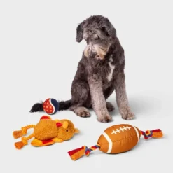 Thanksgiving Dog Ball Plush Toy Set - 3pk - Boots & Barkley™ -Pets Gift Store GUEST b5e2446e 7d03 4c6e 98c0 f788b2aaa6f8