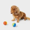 Rubber Balls Dog Toy - 2pk - Boots & Barkley™