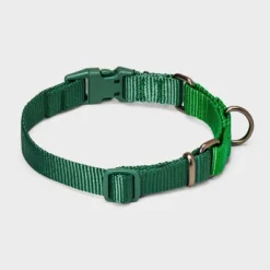 Martingale With Buckle Adjustable Dog Collar - Boots & Barkley™ Assorted Greens