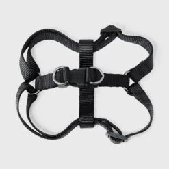 Basic Walk Dog Walk Collar Harness Leash Set - Boots & Barkley™ 3pc