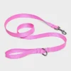 Basic Nylon Leash - 5' - Boots & Barkley™