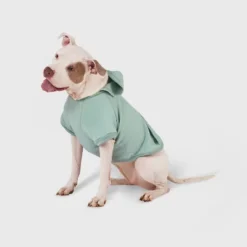 Green Thermal Dog Hoodie - Boots & Barkley™ 13 Green Thermal Dog Hoodie - Boots & Barkley™ -Pets Gift Store GUEST c1d9f53a bec5 43be a5ca 3417b5dba8ce
