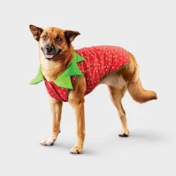 Reflective Strawberry Dog Vest - Boots & Barkley™ Cherry Red -Pets Gift Store GUEST d2dac4b2 04eb 46e8 b28c 226ae479014b