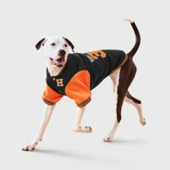 Football Letter Jacket Dog Full Body Costume - Boots & Barkley™ -Pets Gift Store GUEST d60f8305 1d84 43c0 891d d4f90247b932