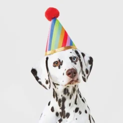 Birthday Headwear Dog Hat - Boots & Barkley™ One Size Fits Most -Pets Gift Store GUEST d684bf78 6753 4c6f b4d1 4a6b5dfde30e