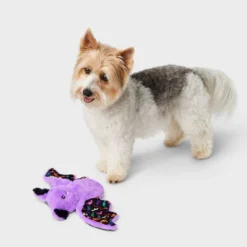 Crinkle Bat Dog Plush Toy - Boots & Barkley™