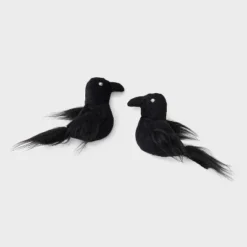 Ravens Cat Plush Toy Set - 2pk - Boots & Barkley™ -Pets Gift Store GUEST de293d84 311a 4721 9d65 99e573ce6ab4